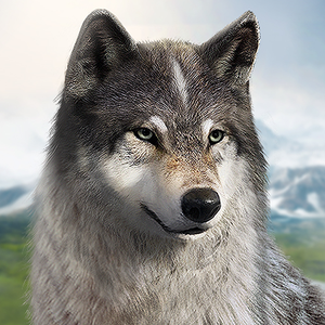 Wolf Game донат